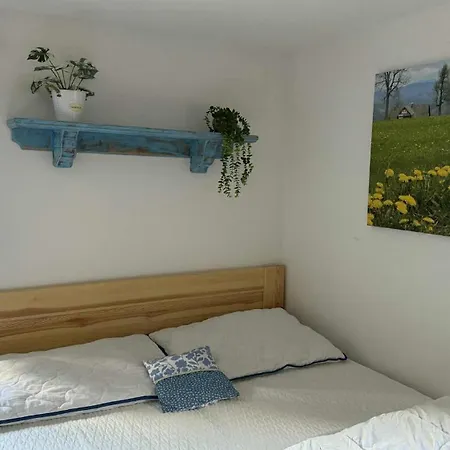 Hébergement de vacances Buchtovna