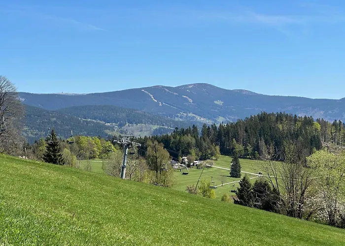 Buchtovna Rejdice